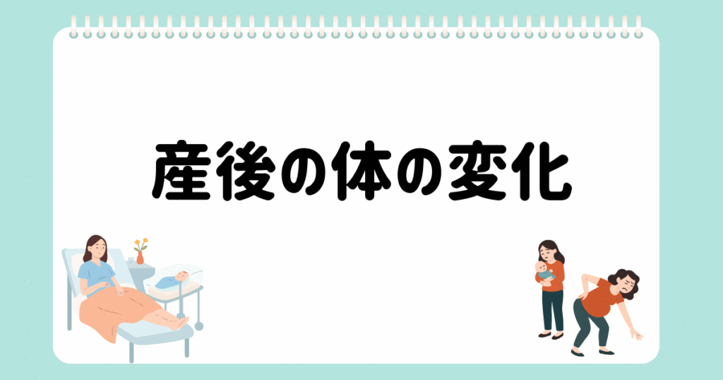 個別相談⑥産後の体の変化で知っておくべきこと