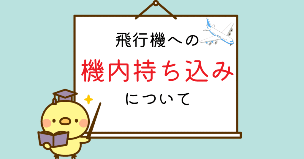 ViitAB機内持ち込みについて